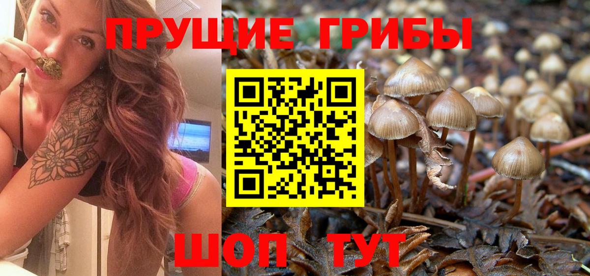 Галлюциногенные грибы GOLDEN TEACHER  Вход с VPN  Сибай 