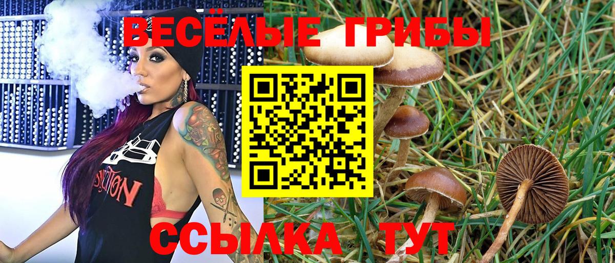 МАРИХУАНА  Сибай  Магазины продажи наркотиков  Вход с VPN  КОКАИН  Мефедрон   ГАШИШ  Гашиш  A PVP СК  